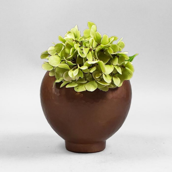 Hand-hammered copper cache pot with a green hydrangea inside it centered on a grey background. The cache pot is round and tapers to a lifted foot.