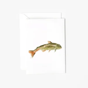 Fish Mini Enclosure Notecard