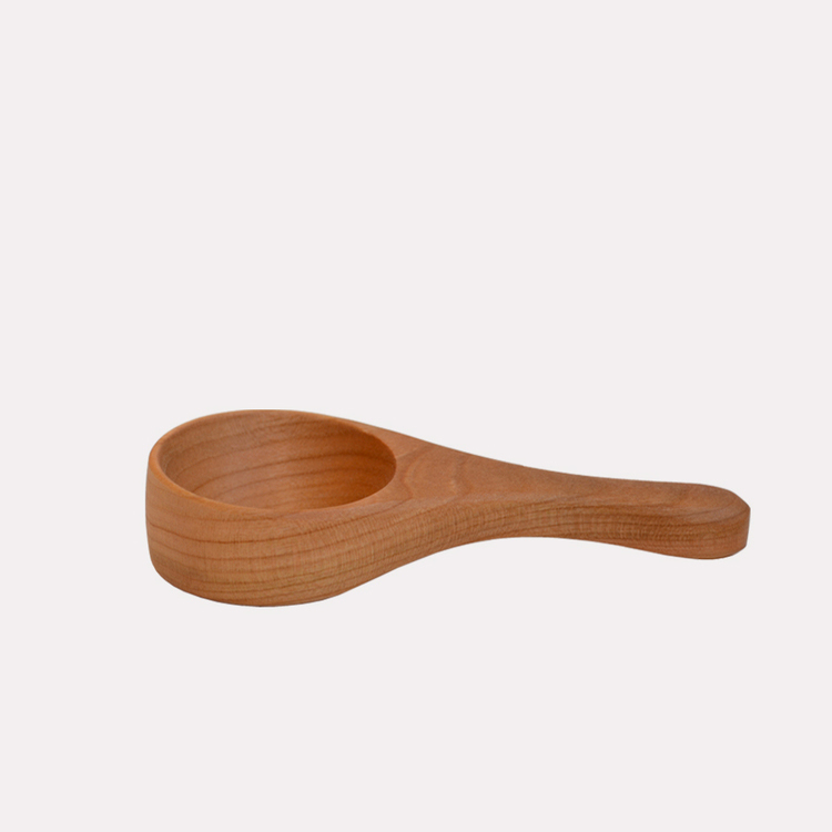 Craftsman scoop 2025