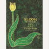 Julie Leidel Print - Grueby Bloom - Image 2