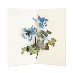 Columbine Pop-Up Card - Hiromi Takeda