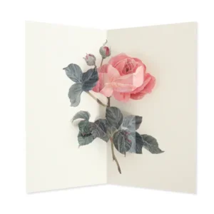 Rose Artisan Pop-up Card - Hiromi Takeda